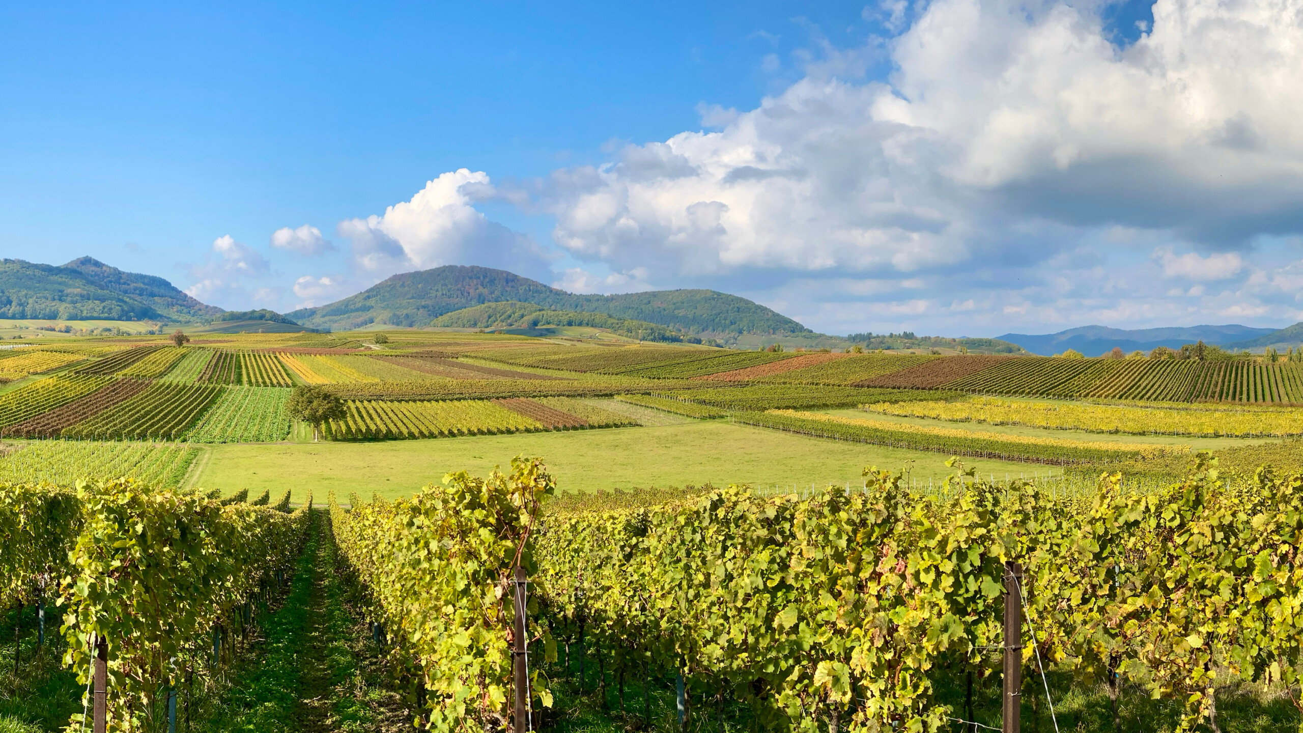 Landschaft Ortenau