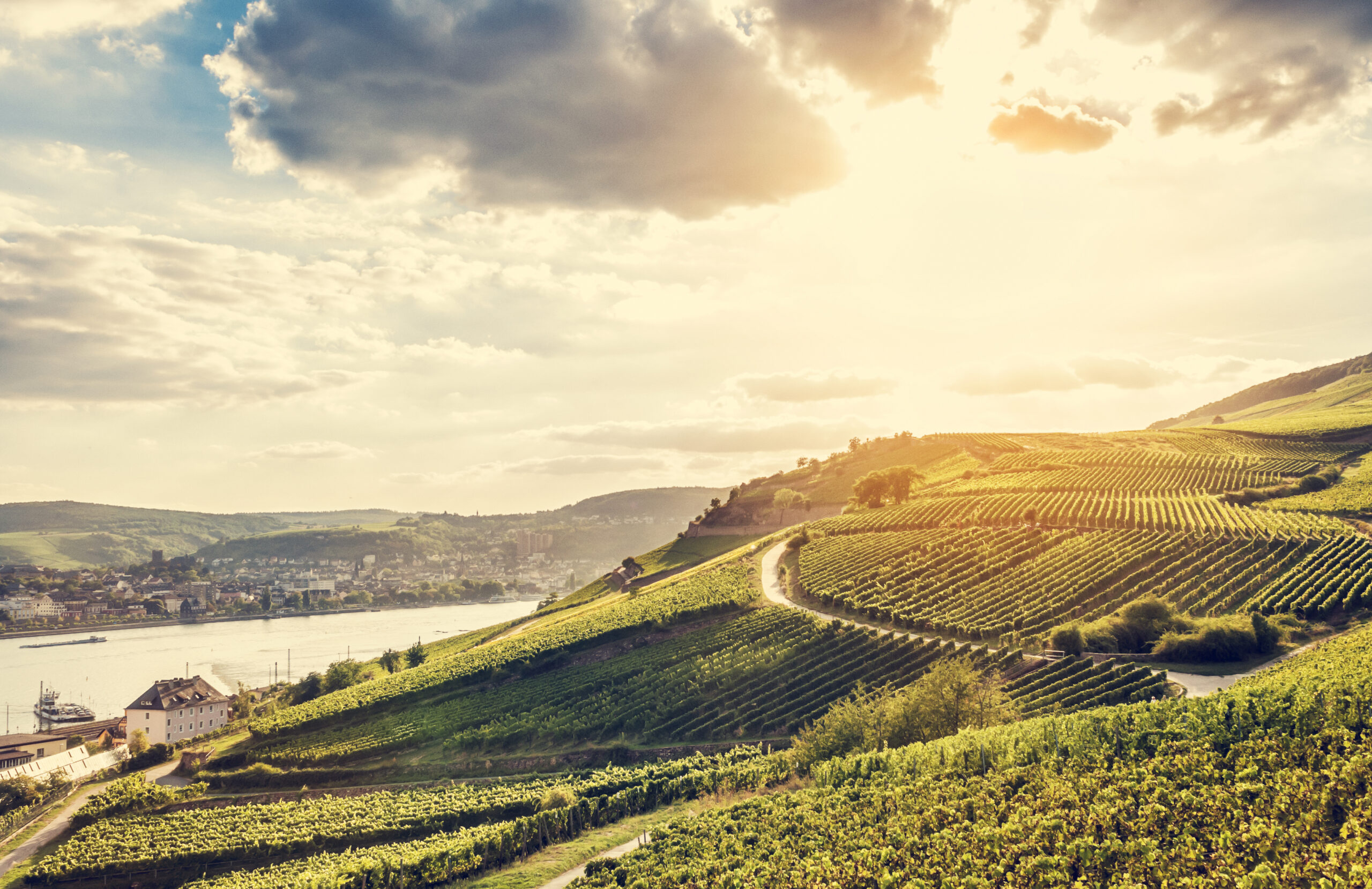 Landschaft Vorderpfalz